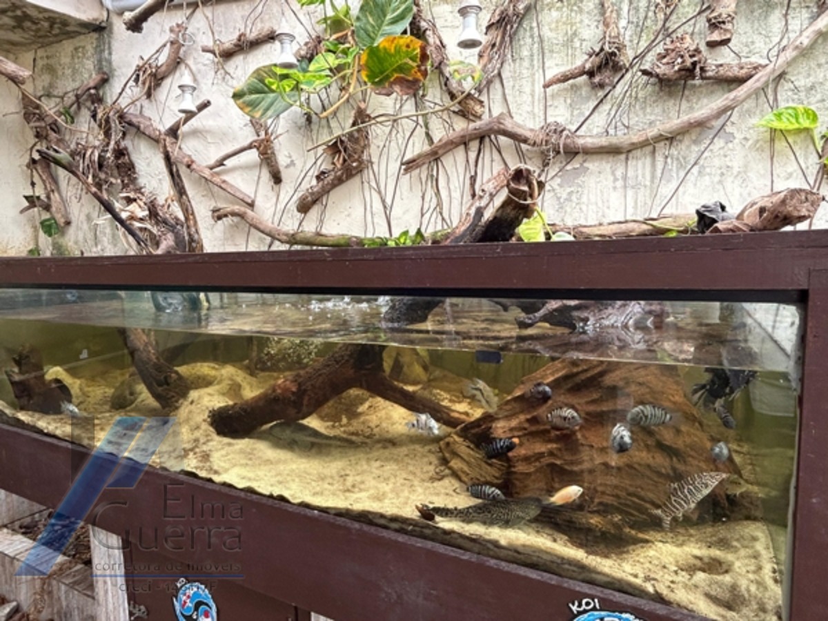 Casa, 7 quartos, 388 m² - Foto 3