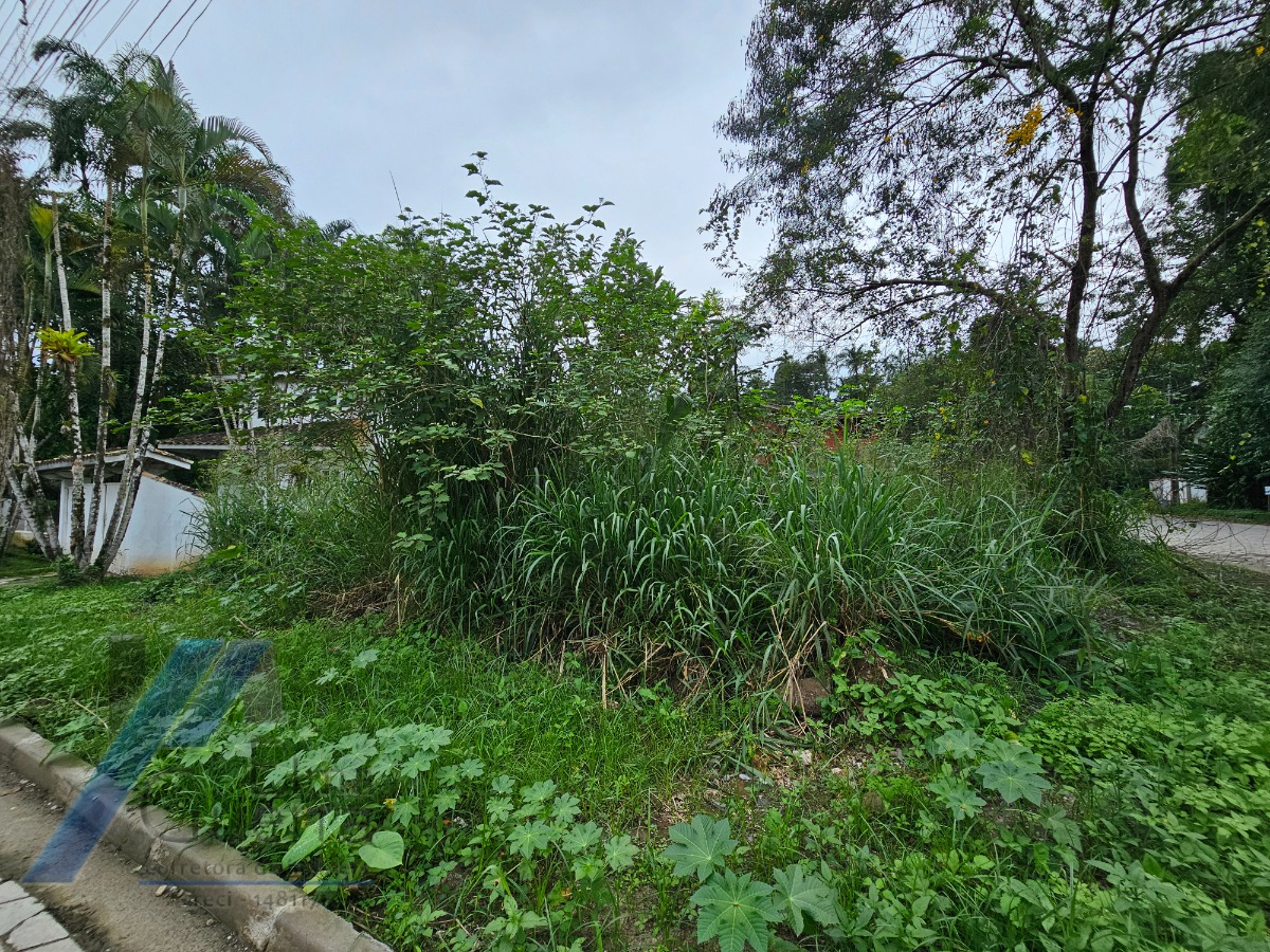 Terreno, 450 m² - Foto 3