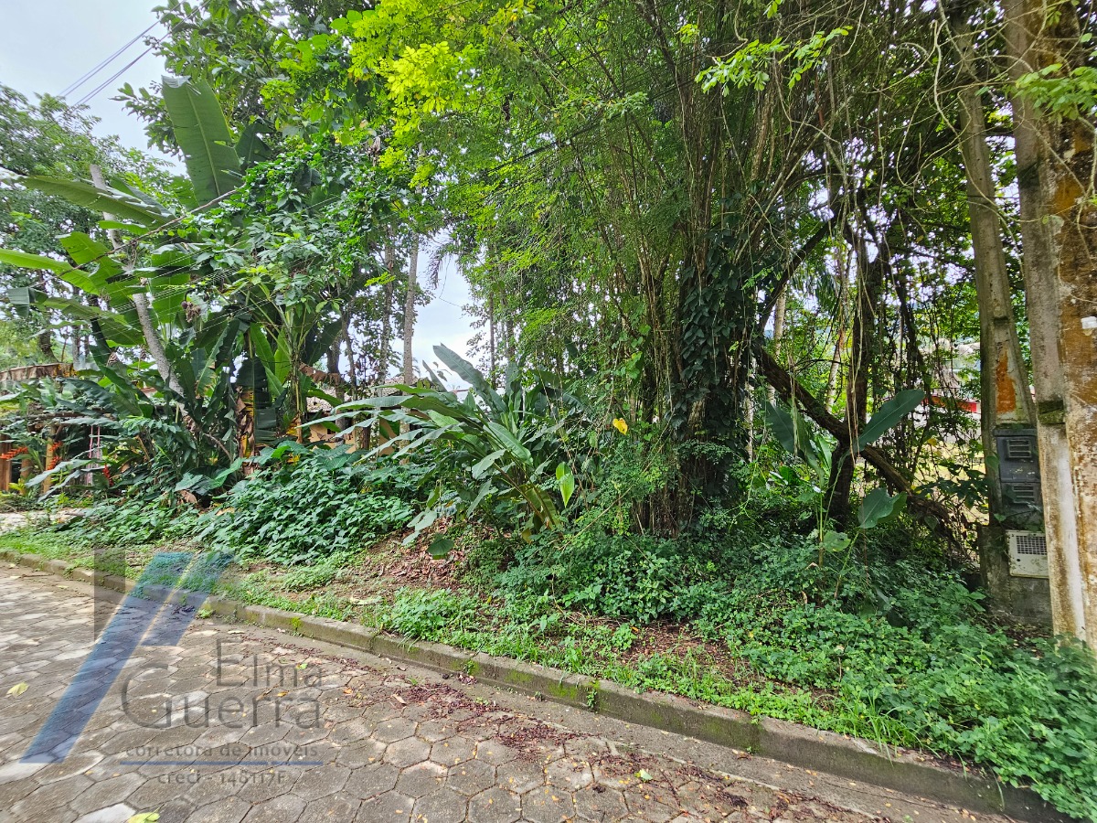 Terreno, 450 m² - Foto 6