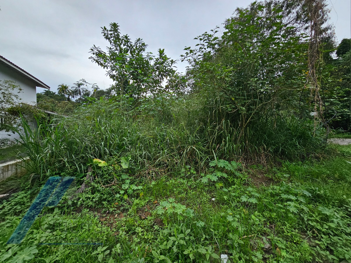 Terreno, 450 m² - Foto 4