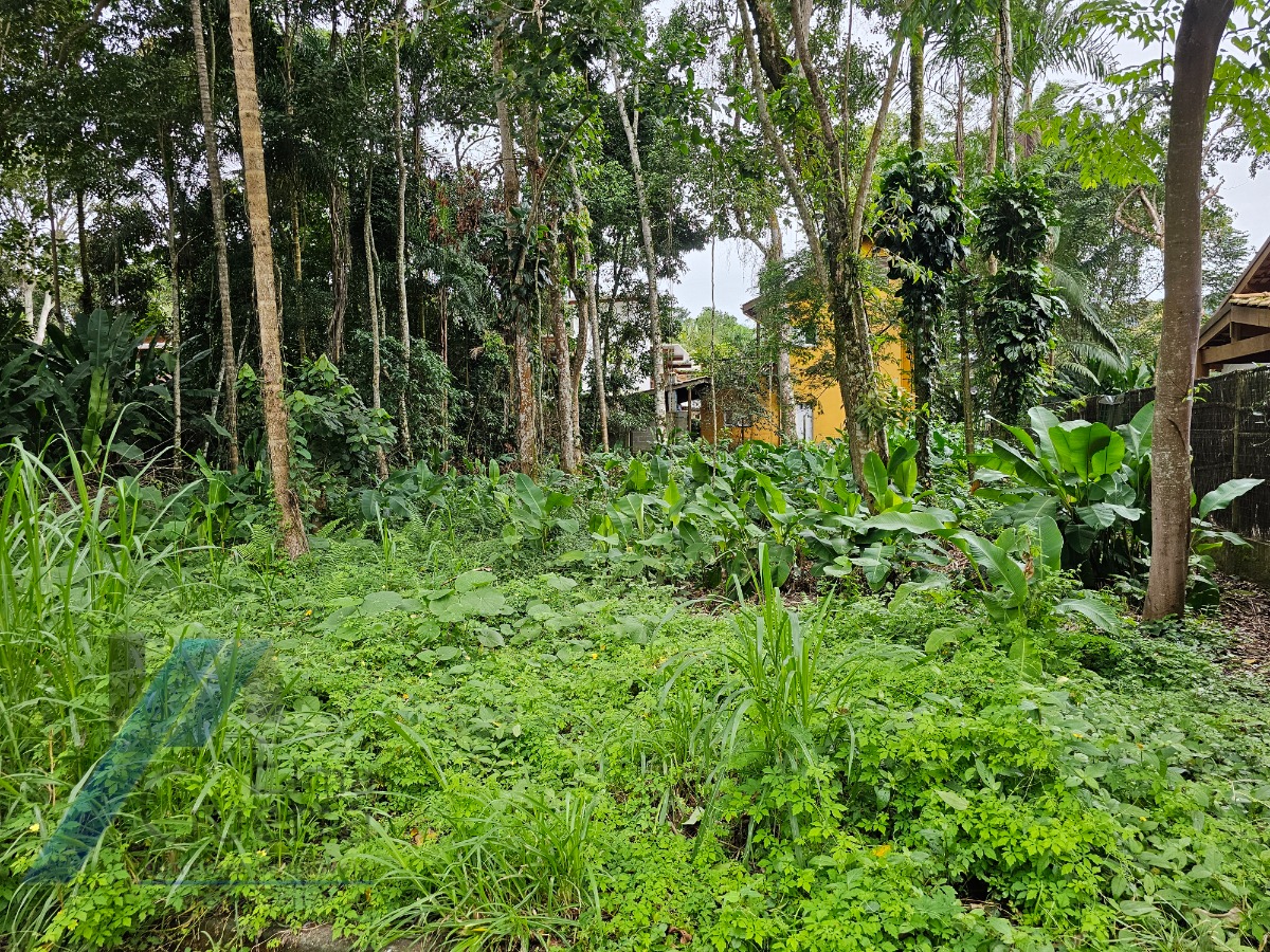 Terreno, 450 m² - Foto 4