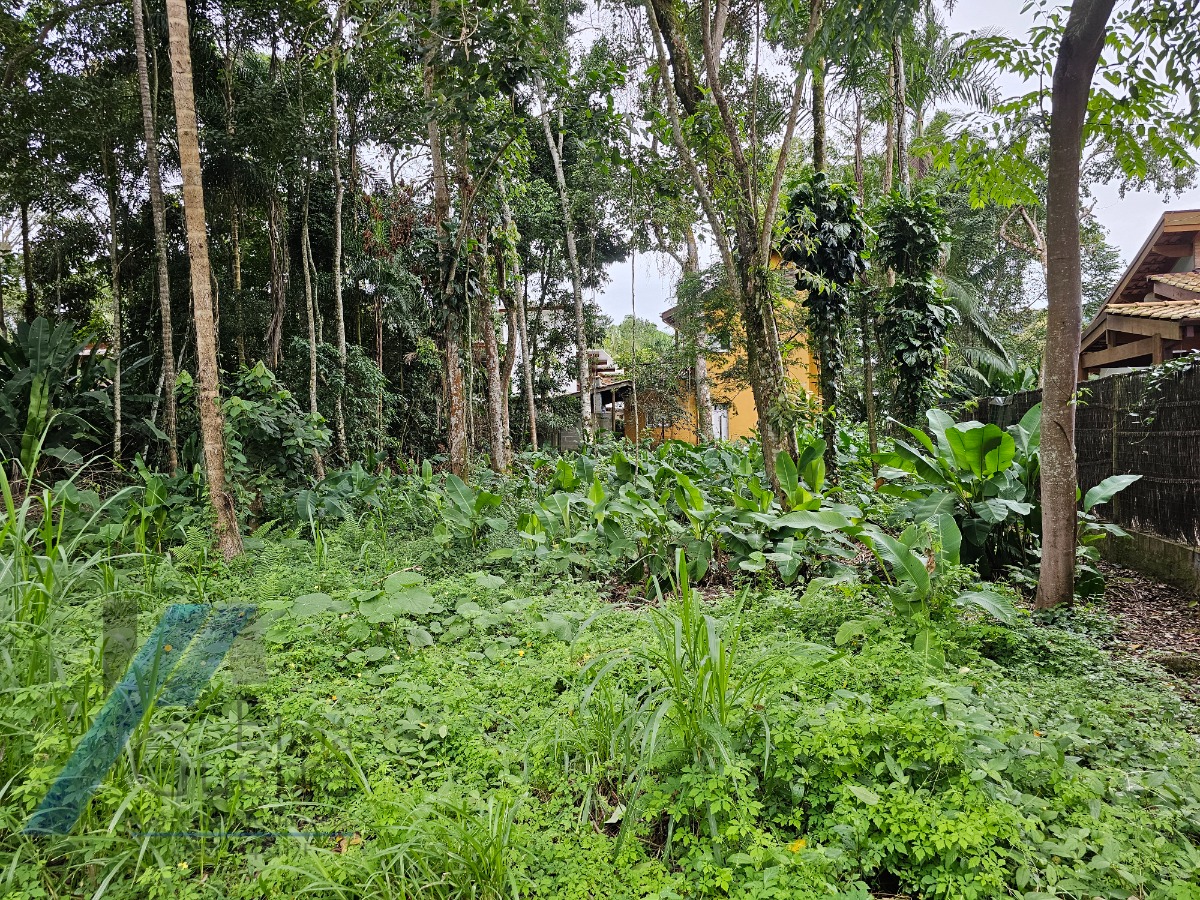 Terreno, 450 m² - Foto 3