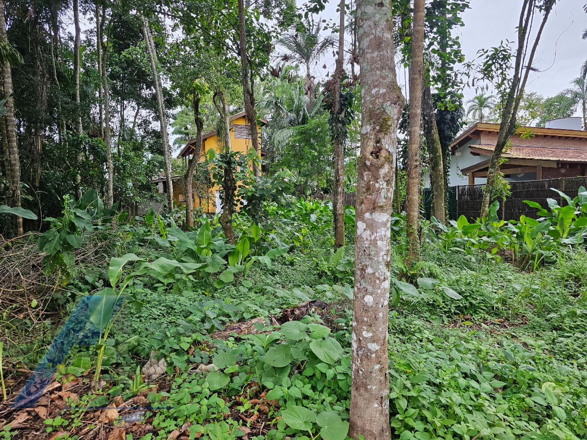 Terreno, 450 m² - Foto 6