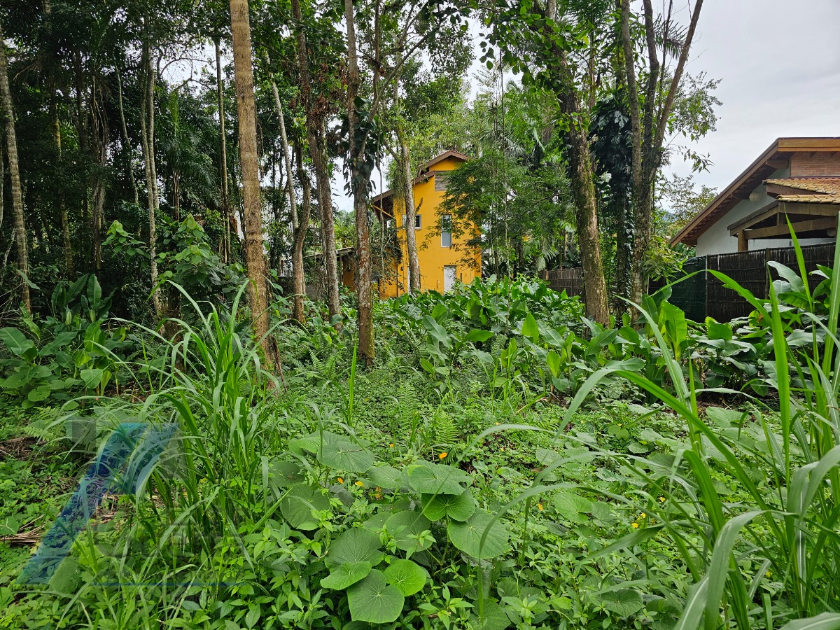 Terreno, 450 m² - Foto 5