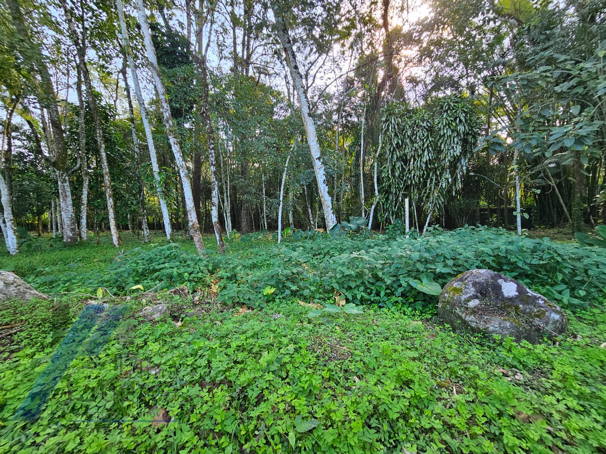 Casa, 4 quartos, 340 m² - Foto 55