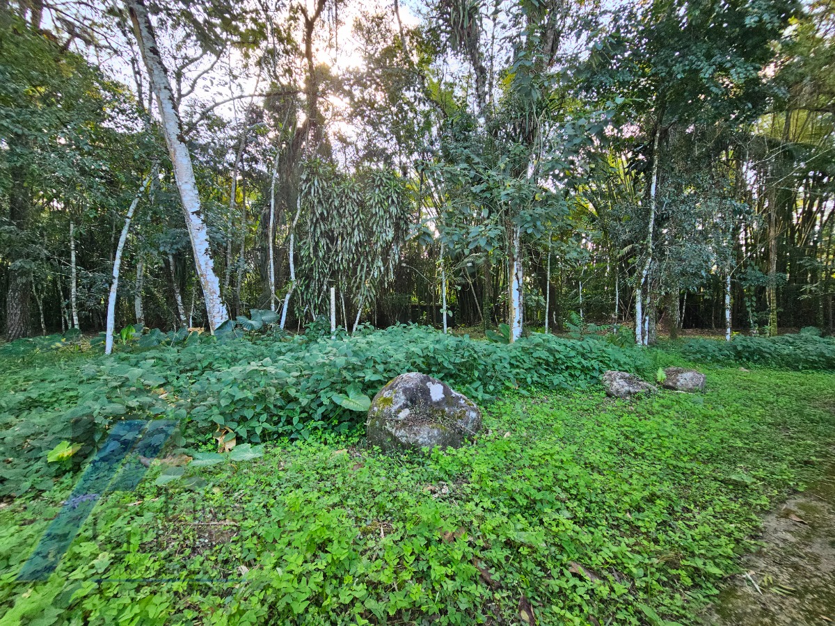 Casa, 4 quartos, 340 m² - Foto 54