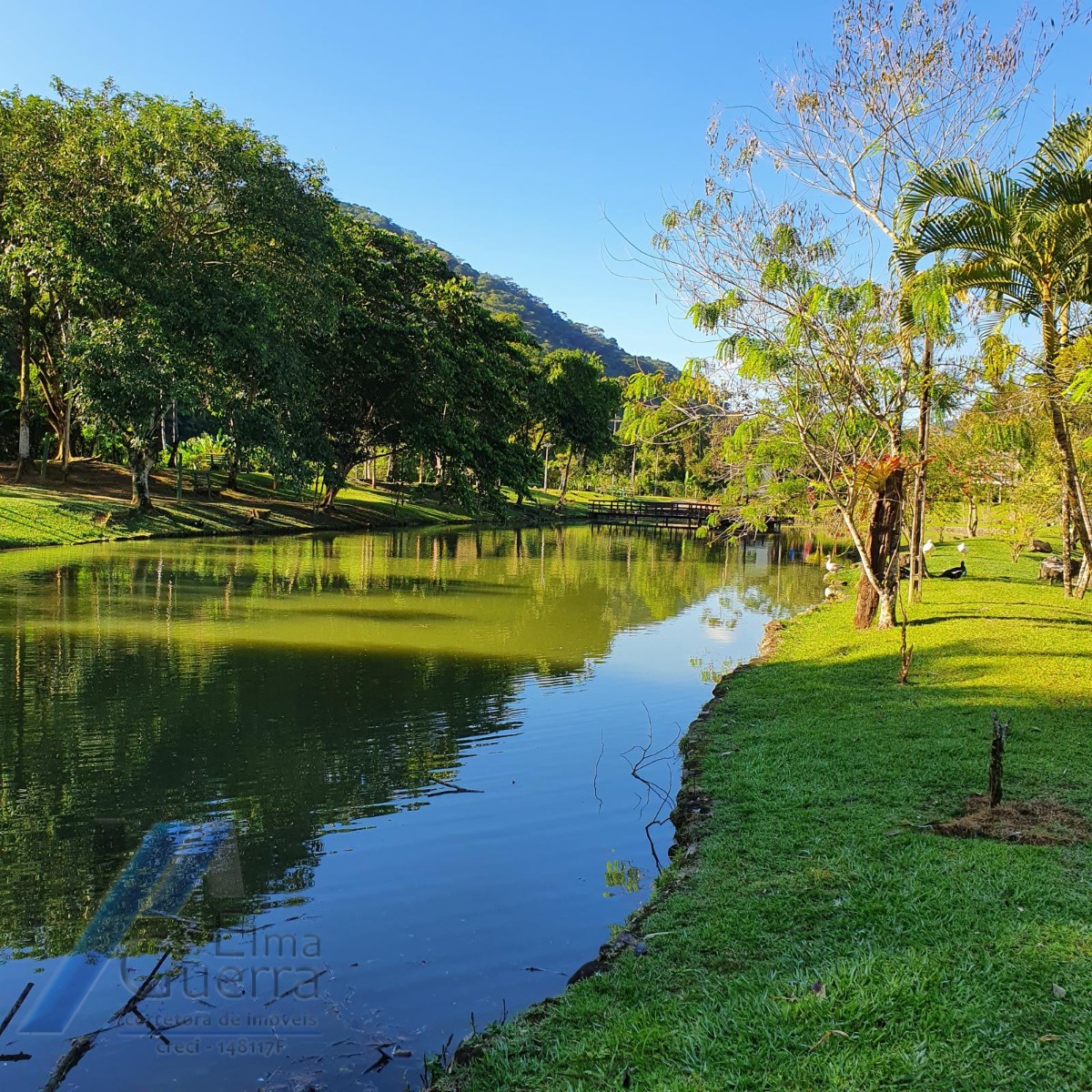 Casa, 4 quartos, 260 m² - Foto 54