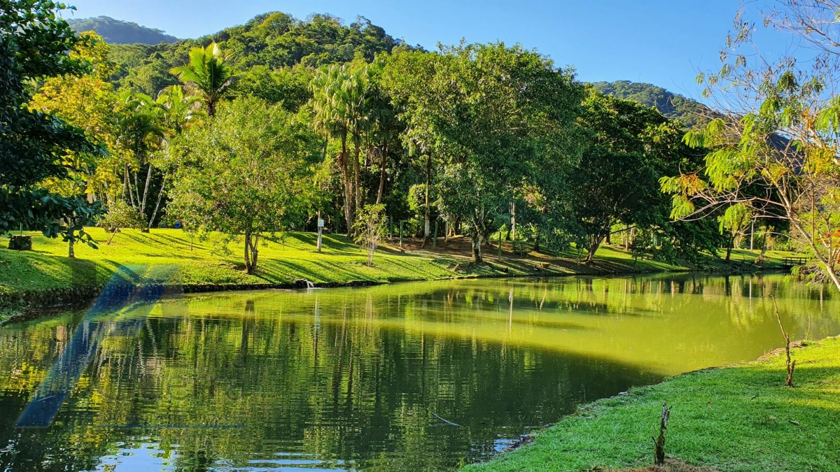 Casa, 4 quartos, 260 m² - Foto 53