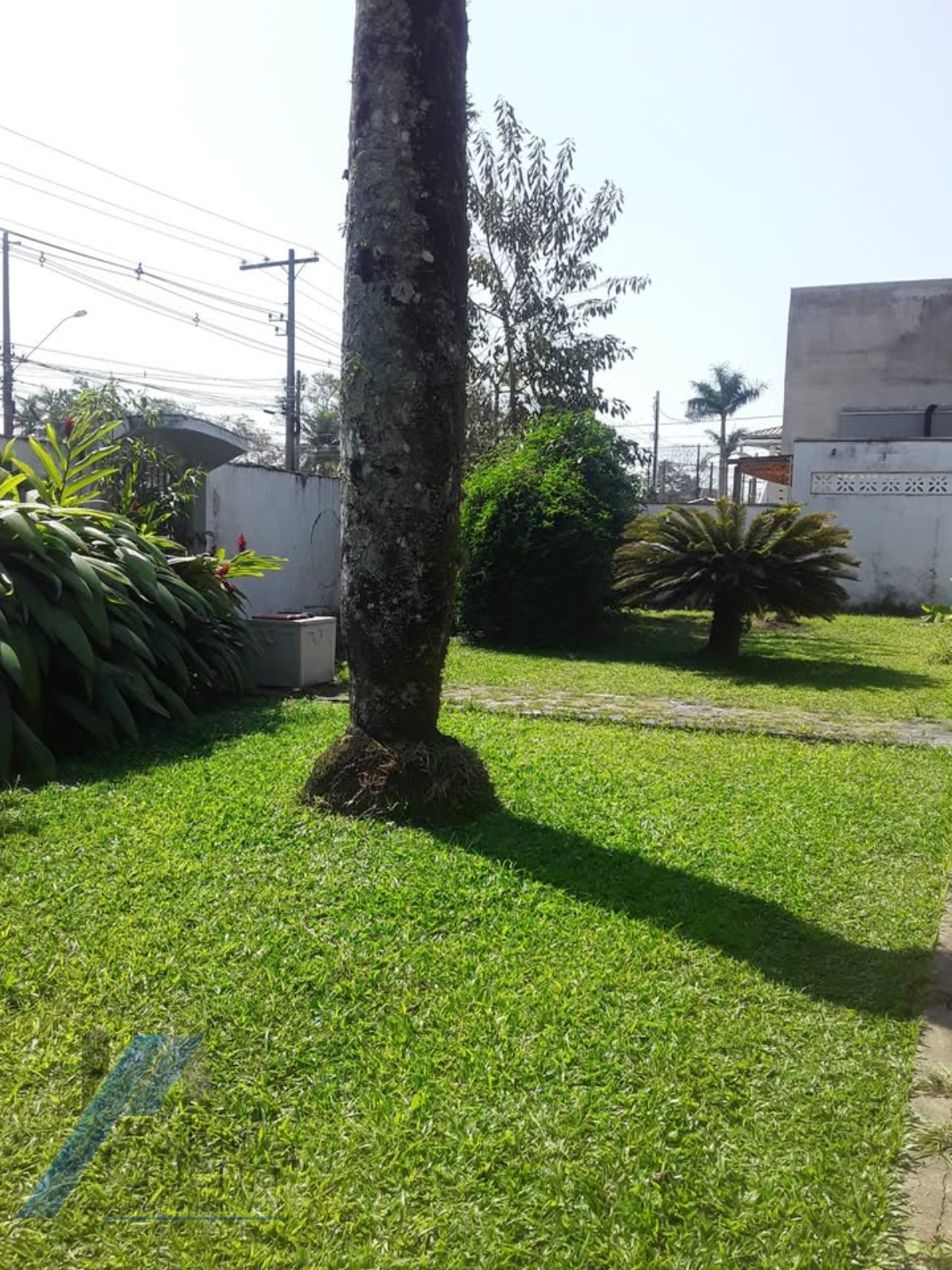 Casa, 5 quartos, 444 m² - Foto 7