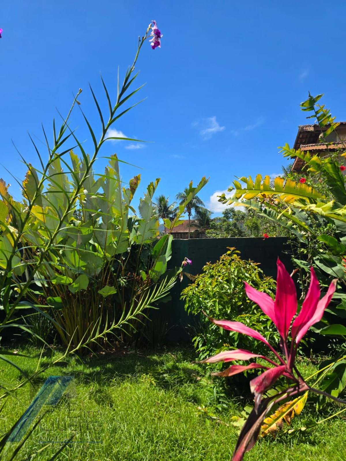 Casa, 3 quartos, 179 m² - Foto 12