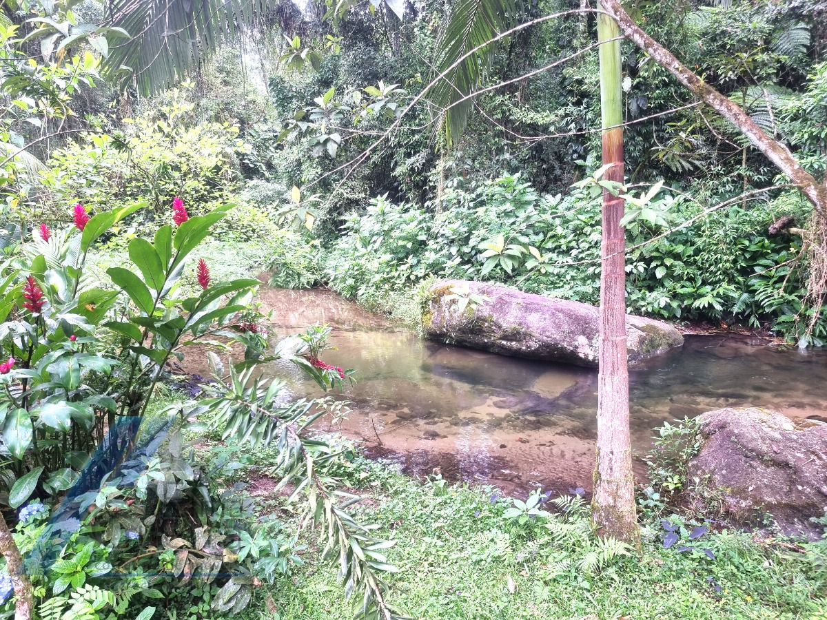 Ubatuba- Horto Florestal - Sitio com excelente edificação, boa localização com cachoeiras e piscinas naturais.