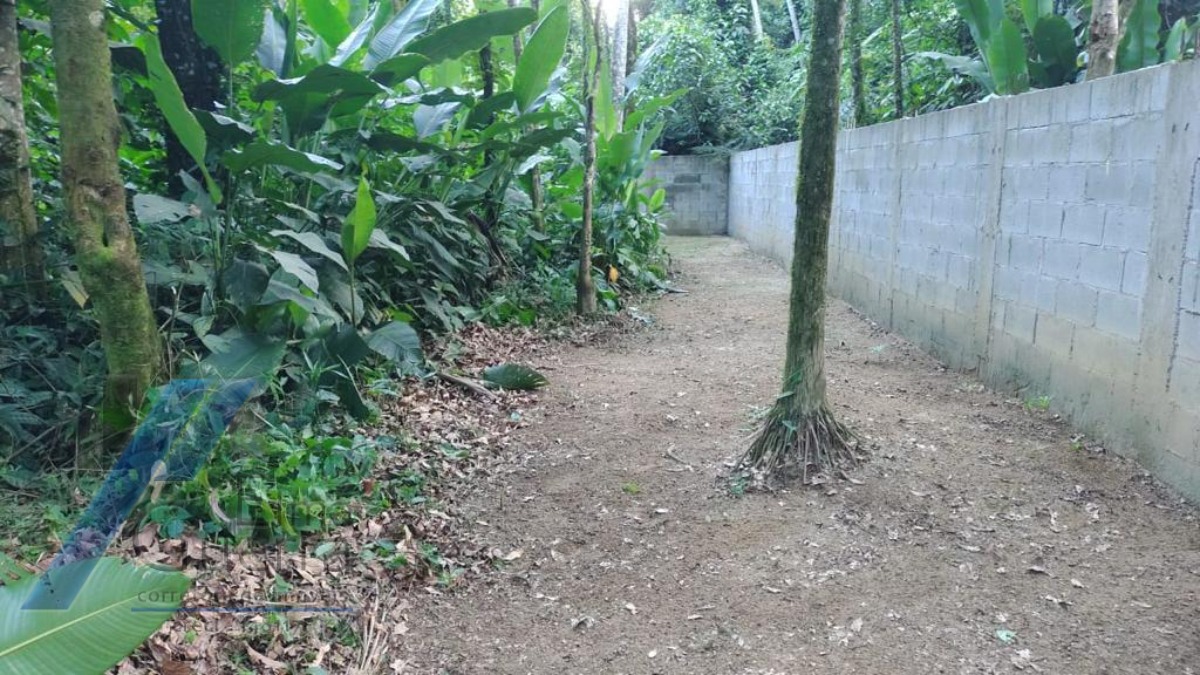 Ubatuba, Itamambuca - lote com 546,00 m2, escritura definitiva, liberação ambiental em condomínio segurança 24 hs.