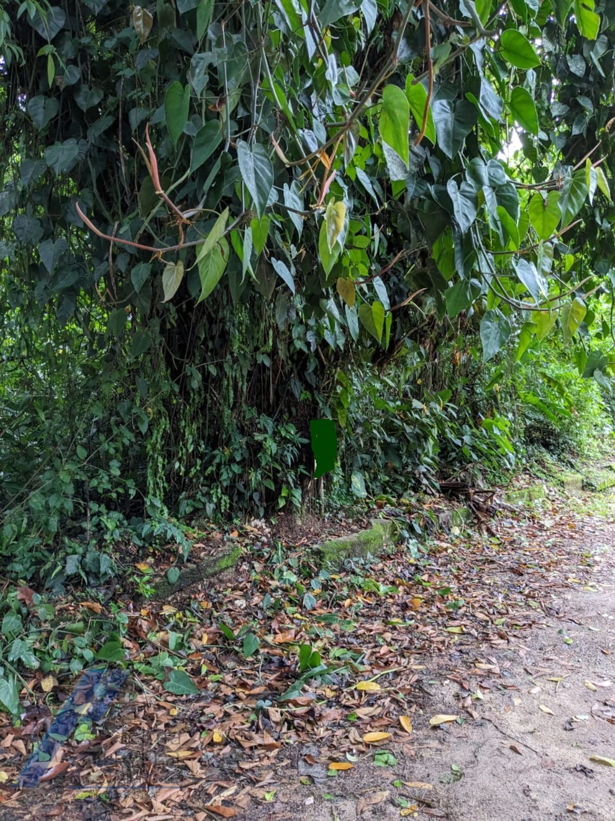 Terreno à venda, 530m² - Foto 6
