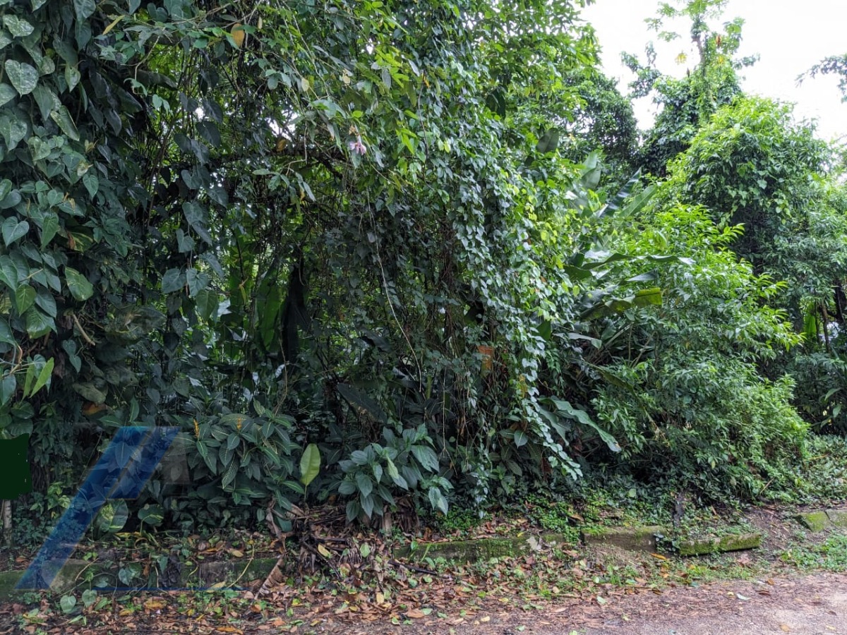 Terreno à venda, 530m² - Foto 4