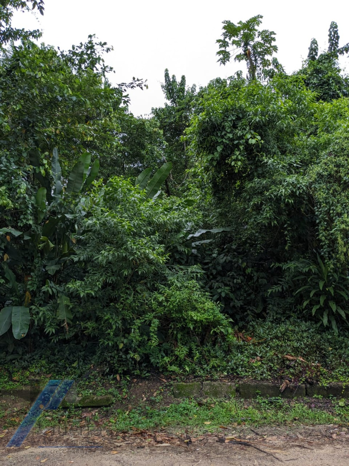 Terreno à venda, 530m² - Foto 2