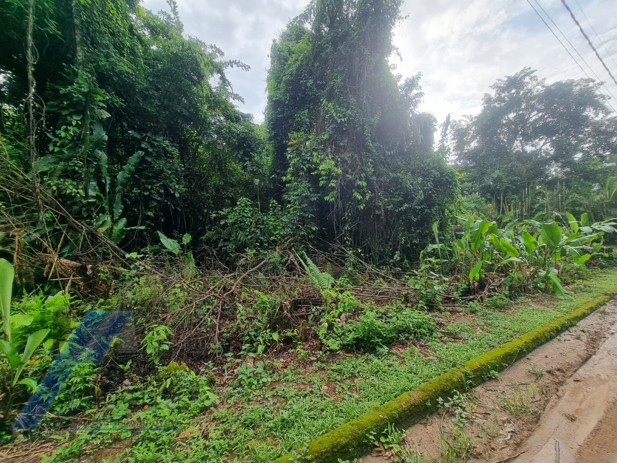 Terreno à venda, 531m² - Foto 5